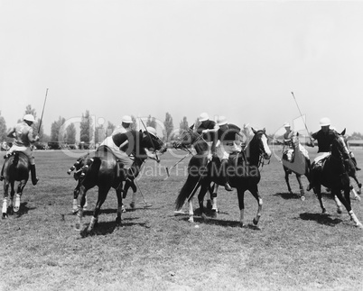 POLO MATCH