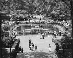 The seal pool at the Central Park Zoo, New York, NY