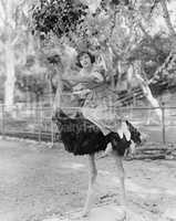 Woman riding ostrich