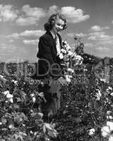 Woman picking wildflowers in field