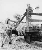 Young women bucking hay