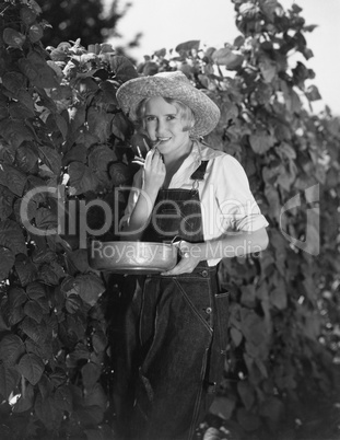 Young woman picking beans