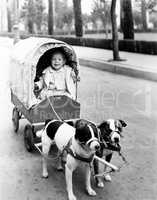 Girl in covered wagon pulled by dogs