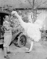 Man with large fake ostrich