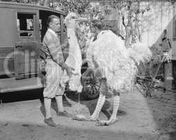 Men with ostrich costume