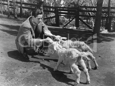 Man feeding two baby goats