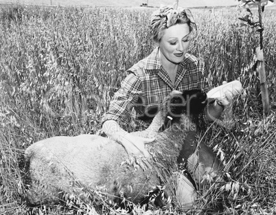 Woman feeding sheep with bottle