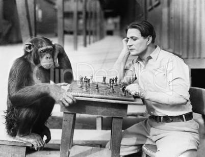 Man playing chess with monkey