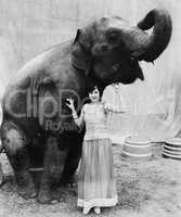 Portrait of a young woman standing under an elephant