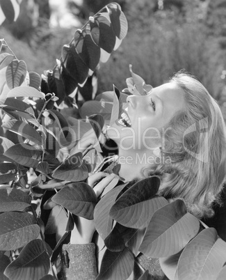 Vivacious woman looking up into a tree