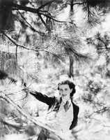 Vivacious woman looking through the branches of a pine tree