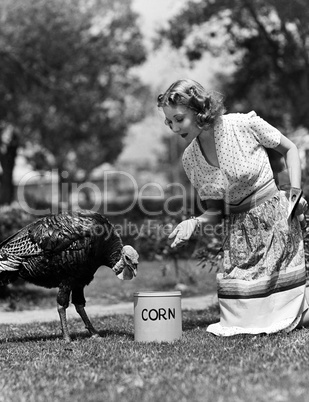 Woman luring turkey to hatchet with corn