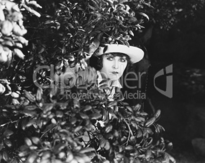 Woman peeking through bushes