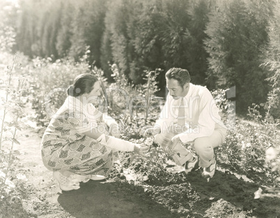 Picking flowers in their garden