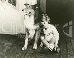 Collie guards sleeping child