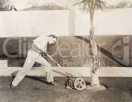 Man attacking palm tree with lawn mower