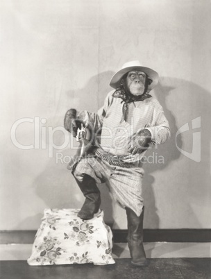 Monkey dressed up like a cowboy