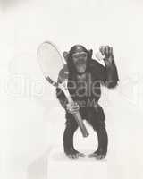 Monkey holding a tennis racket and ball