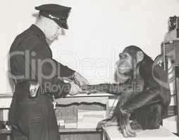 Monkey fingerprinted by police officer