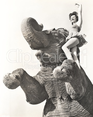 Circus performer posing on elephant