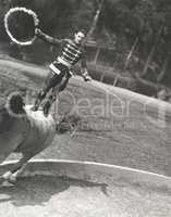 Man performing stunt while standing on horse