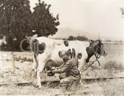 Man milking cow in field