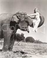 Woman sitting on elephant's trunk