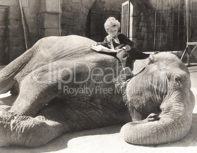 Little boy reading a book on sleeping elephant