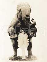 Portrait of young woman and elephant in circus