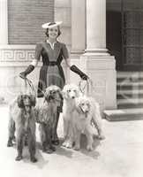 A woman and her four Afghan Hounds
