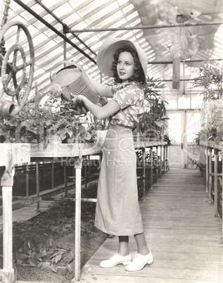 Woman watering plants in hothouse