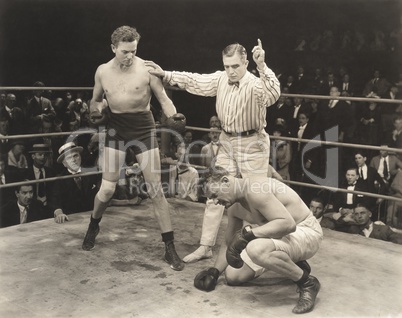 Referee counting over boxer in ring