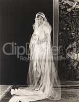 Bride wearing long sleeved wedding gown covered by long veil