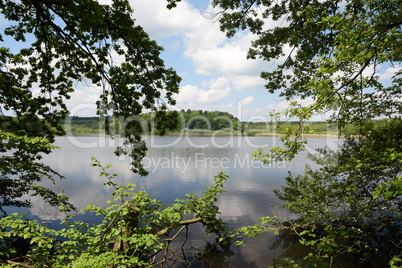 Brinkenweiher, Westerwald