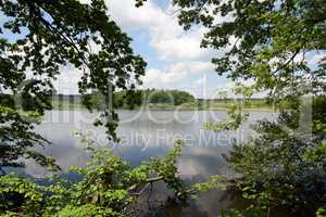 Brinkenweiher, Westerwald