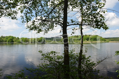 Brinkenweiher, Westerwald