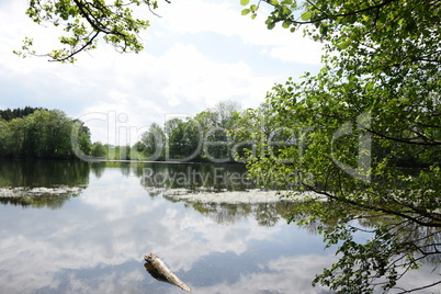 Postweiher, Westerwald