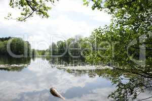 Postweiher, Westerwald