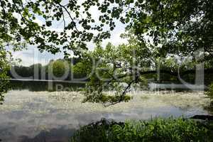 Postweiher, Westerwald