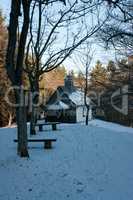 chapel in a forrest