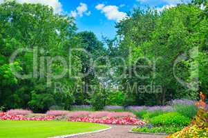 summer park with beautiful flowerbeds