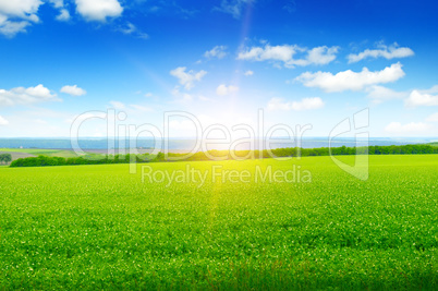 field, sunrise and blue sky