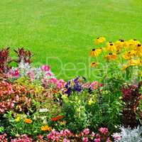 summer flower bed and green lawn