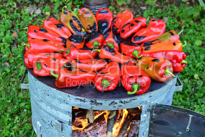 Metal sheet cooker full of roasted peppers