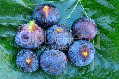 Figs and green leaf background