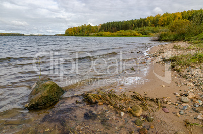 Landscape on the shore of the lake