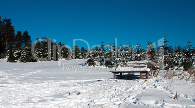 bench in winter