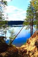 landscape with lake forest sandy ravine and fallen pine