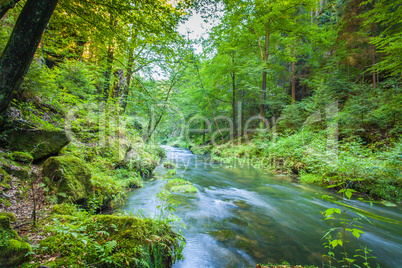 Canyon scenery and trails Kamnitz Gorge in the Czech Switzerland