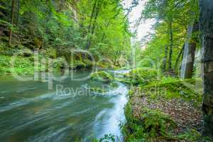 Canyon scenery and trails Kamnitz Gorge in the Czech Switzerland